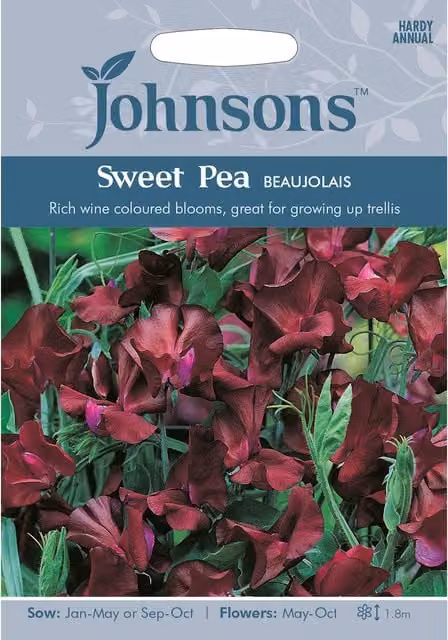 Johnsons Red Sweet Pea Flower Seeds for Ornamental Gardens