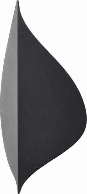 Litecraft Arow Outdoor LED Leaf Style Wall Light in Anthracite Grey