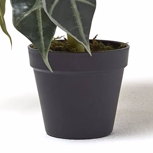 Homescapes Artificial Elephant Ear Plant in Green Pot, Height: 50 cm – 6