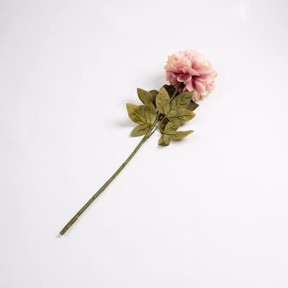 Scottish Everlastings Ltd Peony Stem Pack of 3 in Purple, Pink and Green, 73 cm