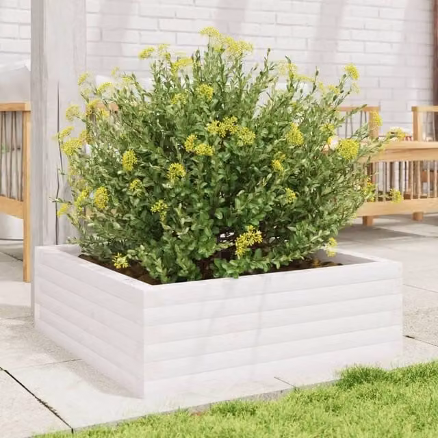 Berkfield Home Decorative White Ornamental Garden Planter Made of Solid Wood, W/D/H: 70 x 70 x 23 cm – 1