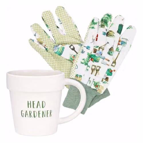 The Leonardo Collection Green Fingers Garden Gloves and Mug Set in Green and Multicolour