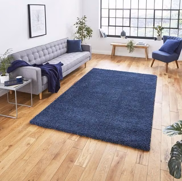 Terrys Modern Plain Rectangular Shaggy Rug in Blue