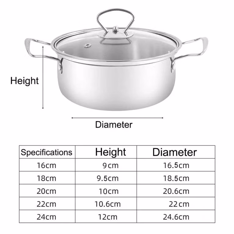 Havendro Stainless Steel Stewpot Casserole Cooking Pot with Lid and Double Handles in Silver