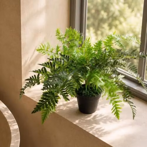 Leaf Luxury Artificial Evergreen Fern Plant in Green, Height: 50 cm – 2