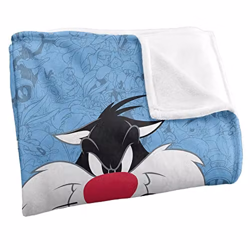 Warner Brothers Looney Tunes Fluffy Fleece Throw Blanket, Multicolour and White, W/D/H: 152 x 127 x 1 cm – 2
