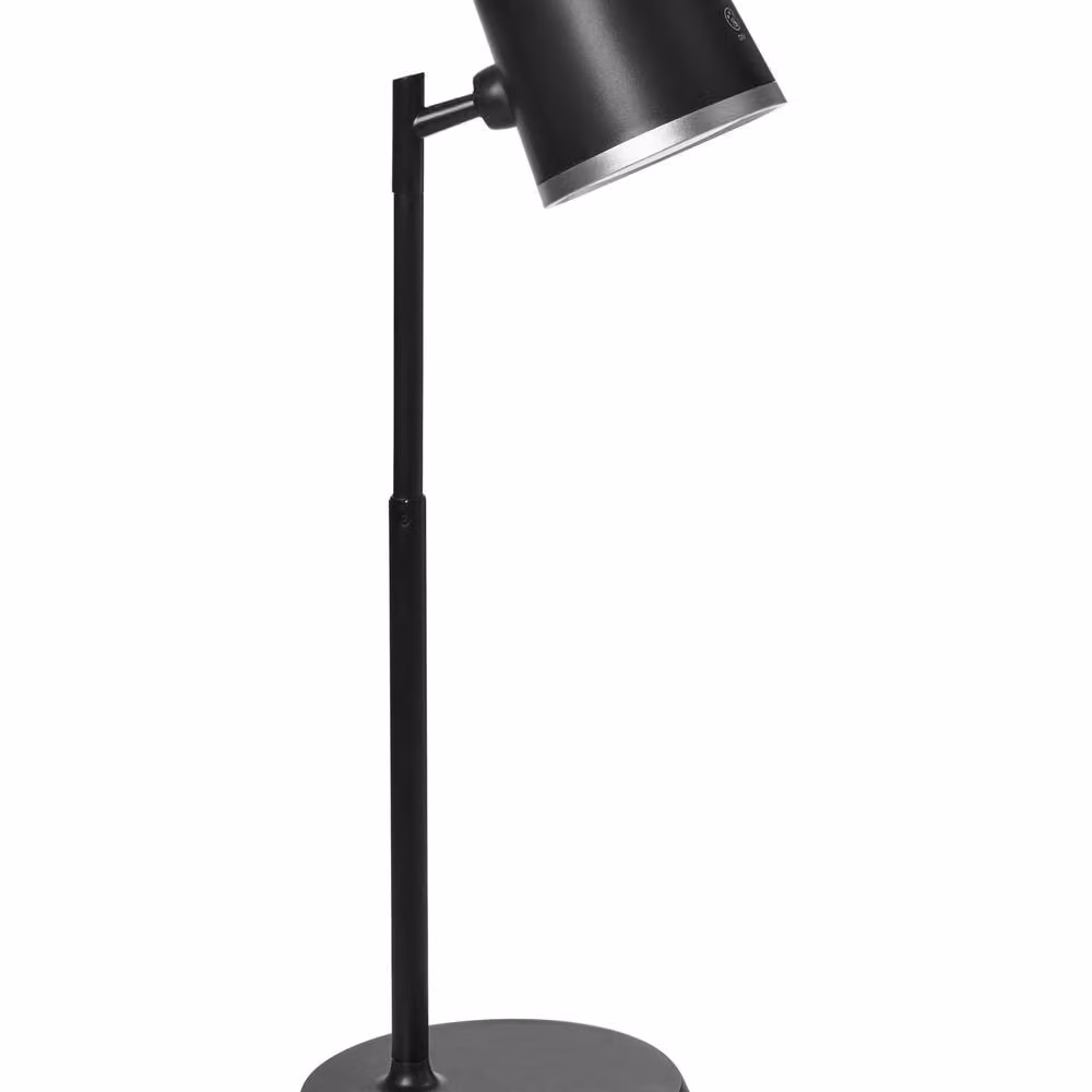 Wyld and Coco 2-in-1 LED Desk and Wall Lamp in Black with Detachable Arm and Stepless Dimmer – 2