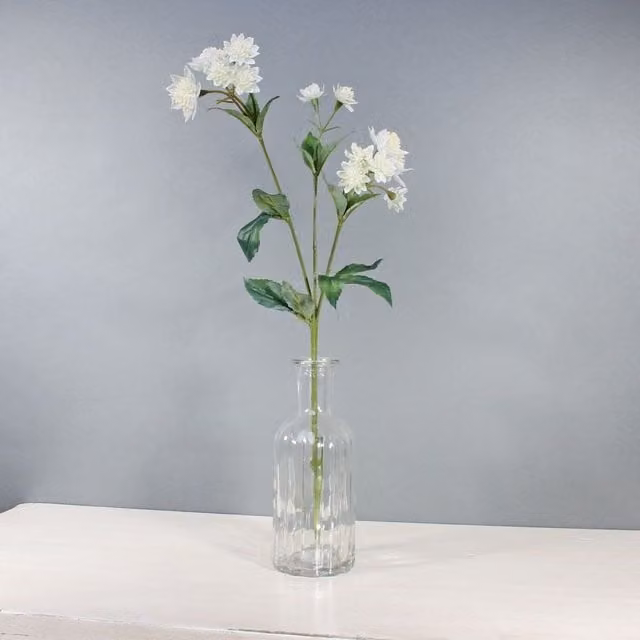 Kingsbury Gifts White Artificial Astrantia Stem, Height: 50 cm
