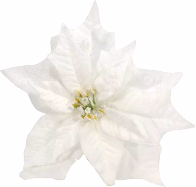 KDMD Snowy White Poinsettia with Clip, 2 Pack, Dia: 25 cm