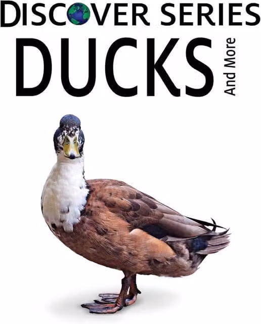 Xist Publishing Ducks Hardcover Multicolour Book
