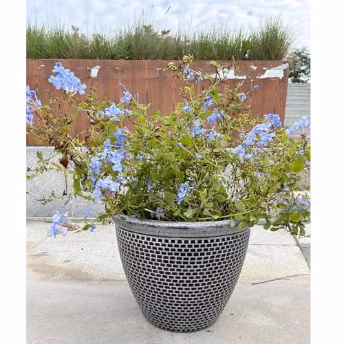 Gr8 Garden Cromarty Round Plastic Plant Pot Planter, Silver, Pack of 2, Diameter: 36 cm – 3