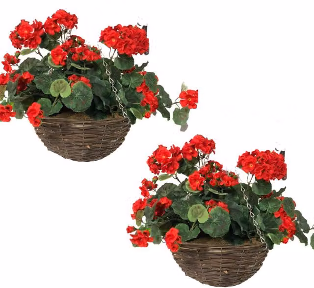 Primrose Red Artificial Geraniums in a Round Rattan Hanging Basket