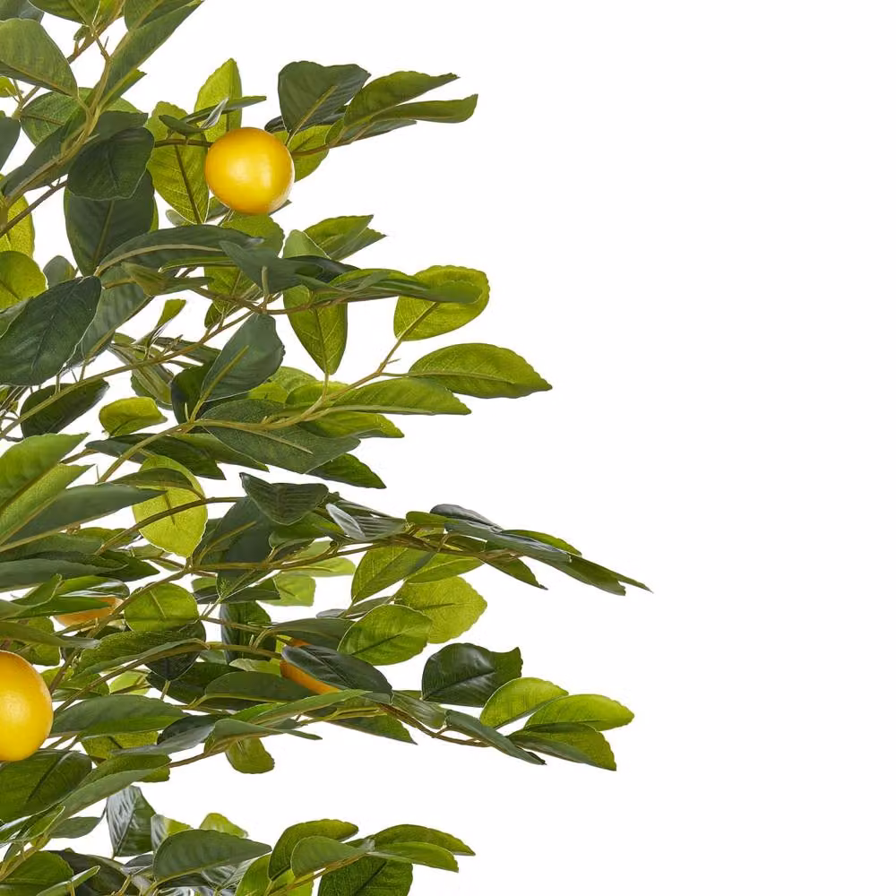 Wyld and Coco Artificial Mediterranean Lemon Tree in Green and Yellow, Height: 156 cm – 2