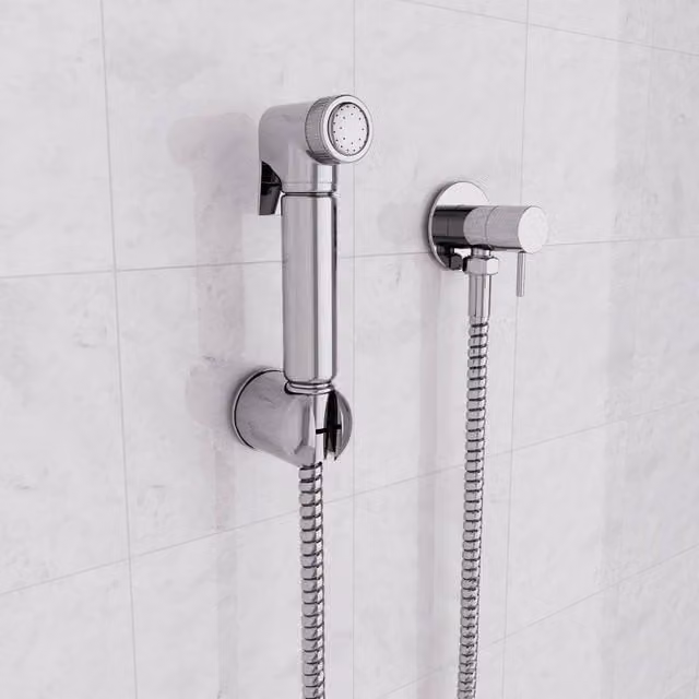 Nes Home Chrome Handheld Bidet Spray Kit in Silver