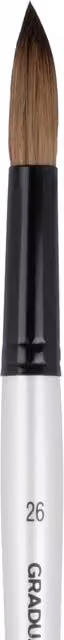 Daler-Rowney Graduate Pony and Synthetic Round Wash Brush, Size 26, Short Handle, Multicolour