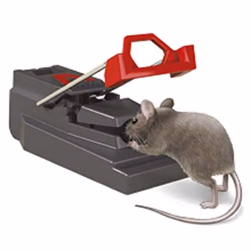 Deadfast Quick Kill Mouse Trap Twin Pack, Black – 4