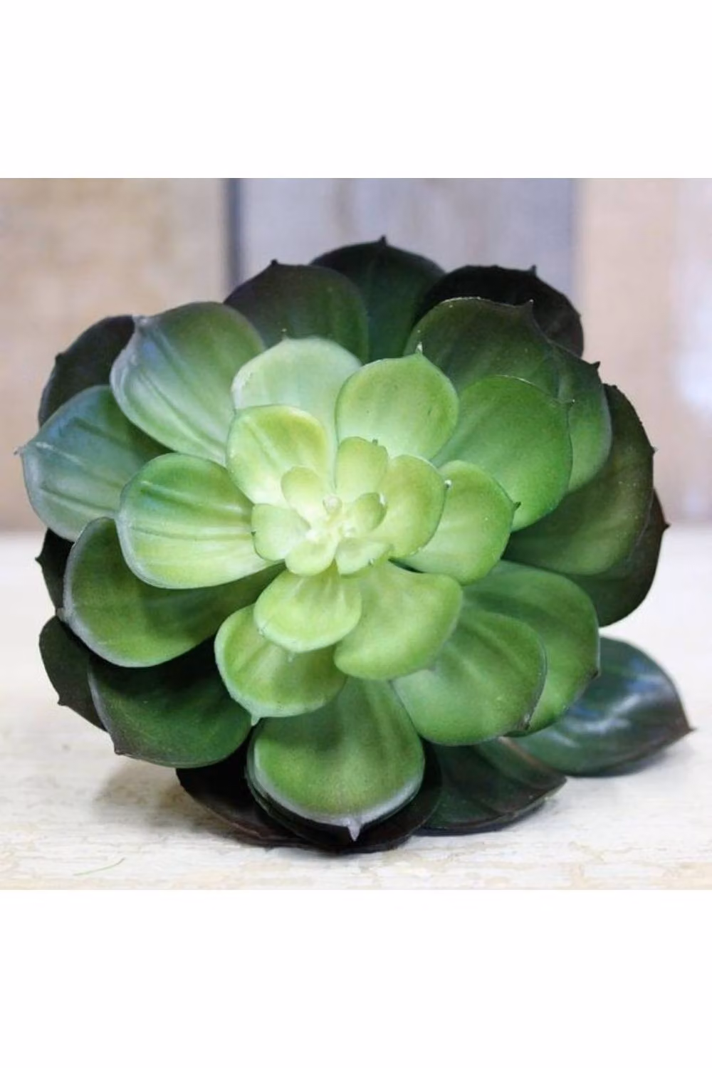 KDMD Green Succulent Pick, 2 Pack, 15 cm – 2
