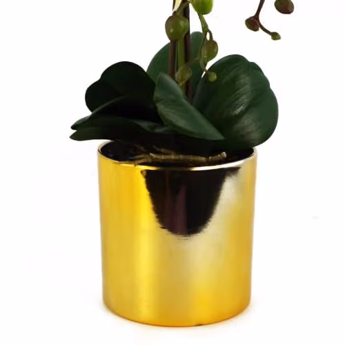 Leaf Design UK Realistic Artificial Orchid Flower Display in Pot, White and Gold, Height: 52 cm – 2