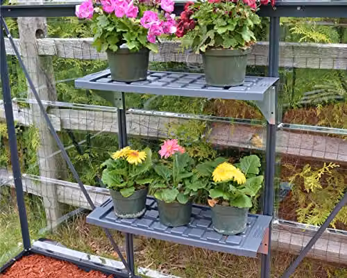 Palram Canopia Twin Shelf Kit in Green Aluminium for Greenhouses – 2
