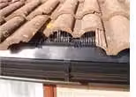 Manthorpe Building Products Black Plastic Eaves Bird Comb, 1 m