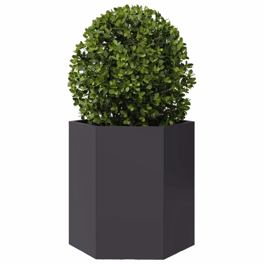 Berkfield Home Garden Hexagon Steel Planter Set, 2 Pieces, Black, W: 46 cm, D: 40 cm, H: 45 cm – 4
