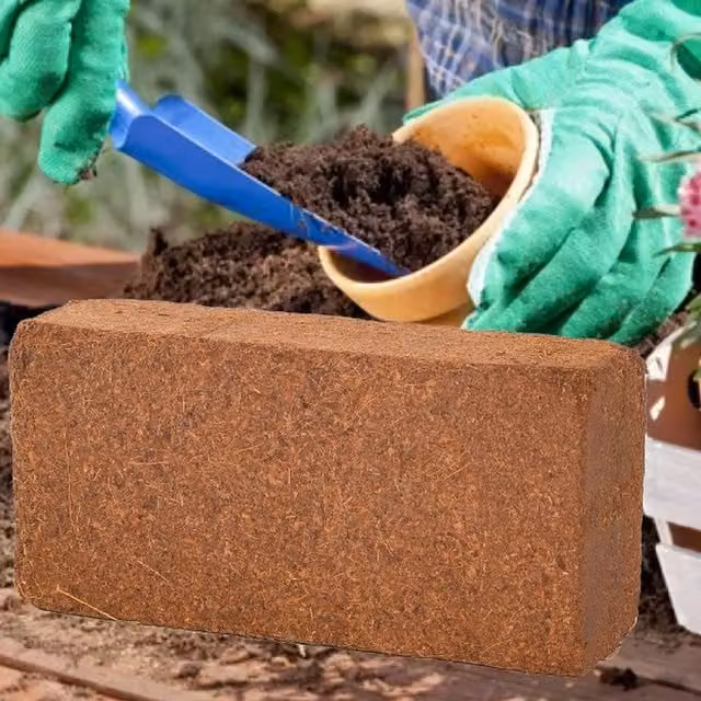 Shop4allsorts Coco Peat Compost Brick, Brown