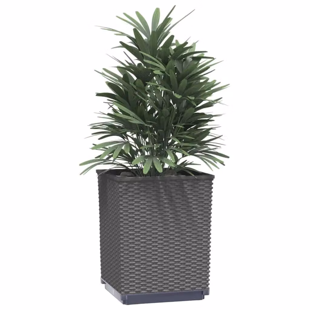Berkfield Home Set of 4 Black Polypropylene Planter Tubs, W/D/H: 30 x 30 x 37 cm – 3