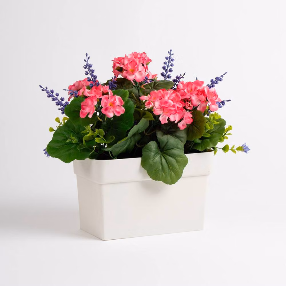 Scottish Everlastings Ltd Pink Geranium in a White Rectangular Tabletop Trough – 3