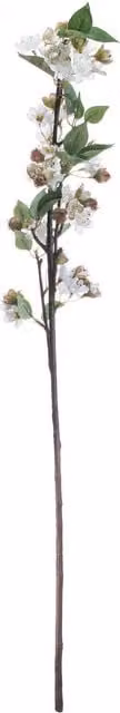 KDMK Spring Floral English Blossom Branch Decor in Brown, White and Pink