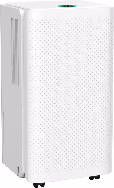 Prosafe Portable Mini Dehumidifier 10L, White