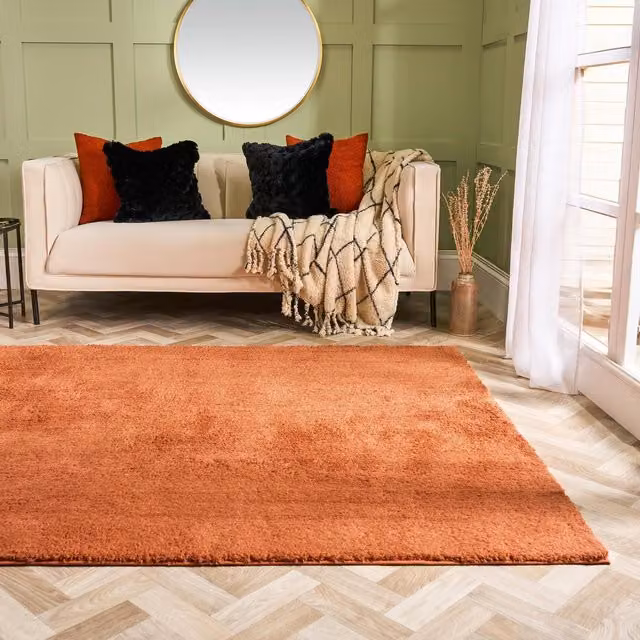 OHS Fluffy Teddy Rug, Non-Slip Soft Area Carpet in Orange, W/D/H: 160 x 230 cm