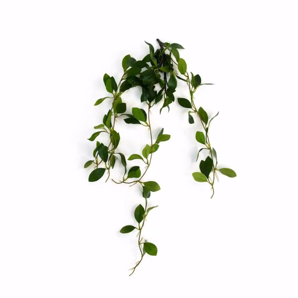 Leaf Premium Green Artificial Trailing Ficus Vine Stem, Height: 55 cm – 2
