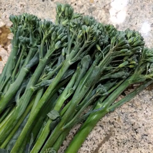 Thompson and Morgan Broccoli Tenderette F1 Hybrid Seeds, Green Vegetable Seeds