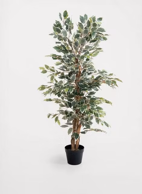 Blooming Artificial 4ft Ficus Tree in Pot, Green Mix