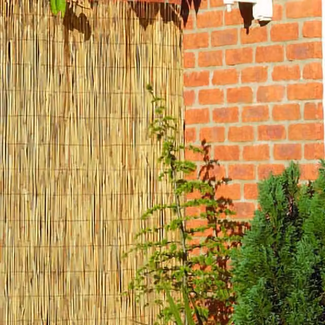 Primrose Peeled Reed Natural Garden Screening Roll, Brown, Height: 150 cm