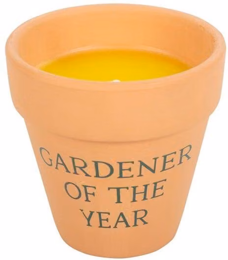 KDMD Gardener of the Year Citronella Votive Candle in Brown Ceramic