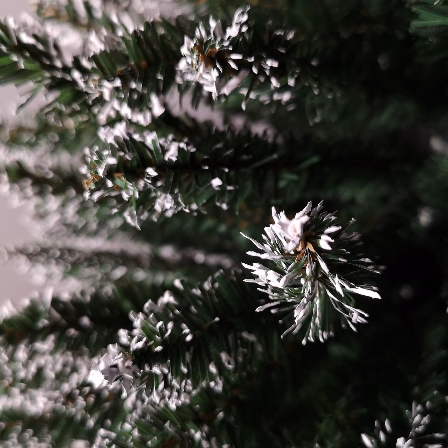 Samuel Alexander Green Snow Tipped Pencil Style Slim Artificial Christmas Tree, Height: 200 cm – 4