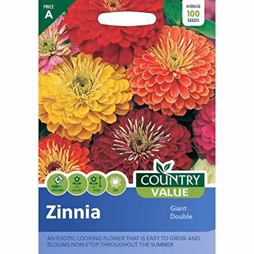 Mr Fothergill's Multicolour Country Value Zinnia Giant Double Half Hardy Annual Flower Seeds – 1
