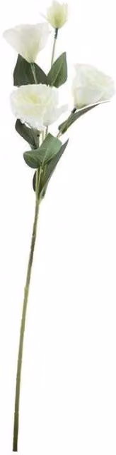 KDMD Essential White Lisianthus Floral Pack of 5, Height: 70 cm