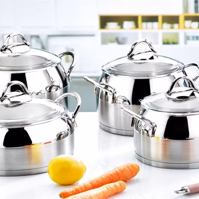 Evimsaray Venus Series 8-Piece Stainless Steel and Glass Cookware Set with Lids, Silver