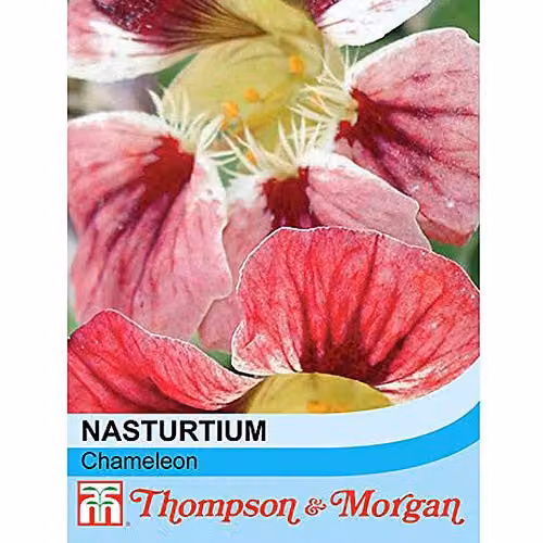 Thompson and Morgan Chameleon Nasturtium Seeds, Multicolour Summer Flowering Annuals, 20 Seeds