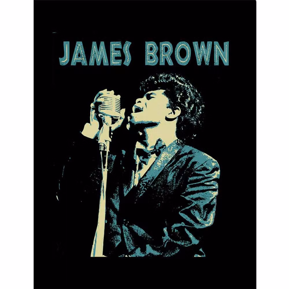 James Brown Retro Typography Framed Paper Poster in Black – 2