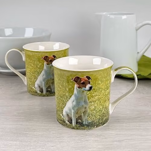 Leonardo Jack Russell Terrier Fine Bone China Mug in Bright Green and Multicolour