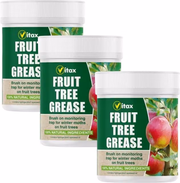 Vitax Fruit Tree Grease with Rapeseed Oil for Mechanical Pest Control