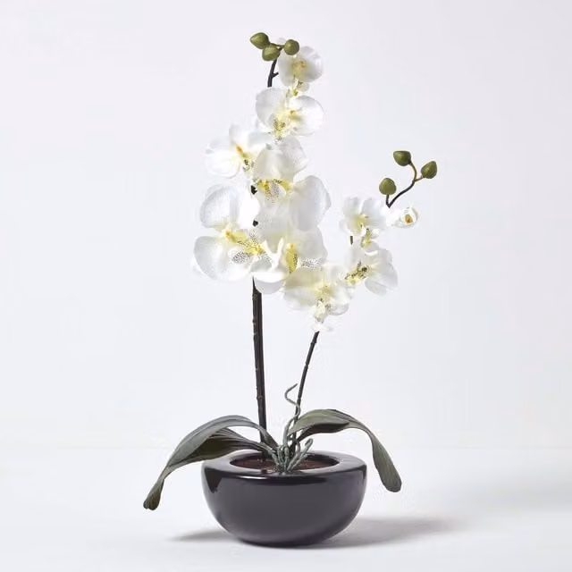 Homescapes Oriental Style Cream Orchids in a Black Ceramic Bowl