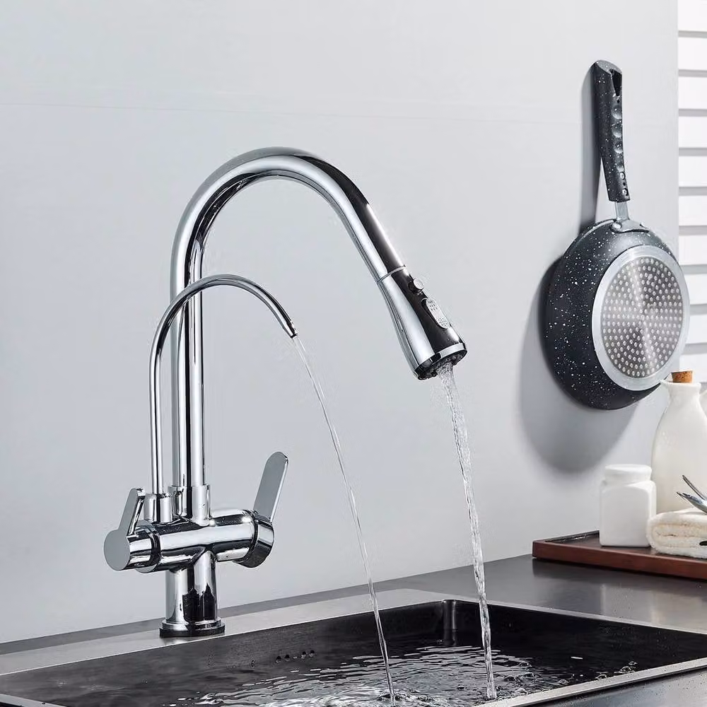 EONLION 3-Way Filter Kitchen Tap with Pull Out Sprayer in Silver – 3