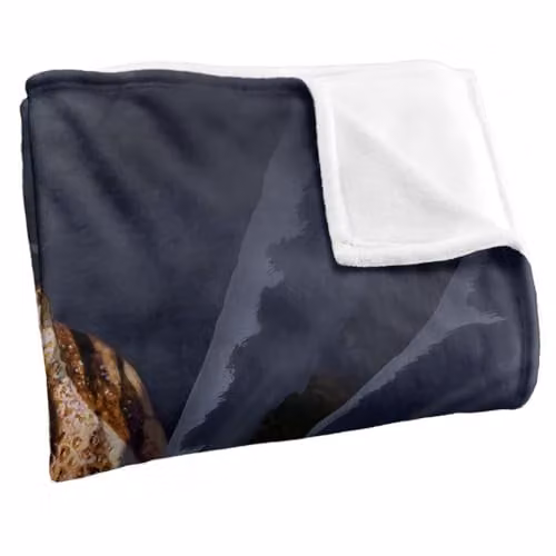 JQ Licensing Jlo T-Rex Ripping Dinosaur Super Soft Fleece Throw Blanket, White, W: 152 cm, D: 127 cm – 2