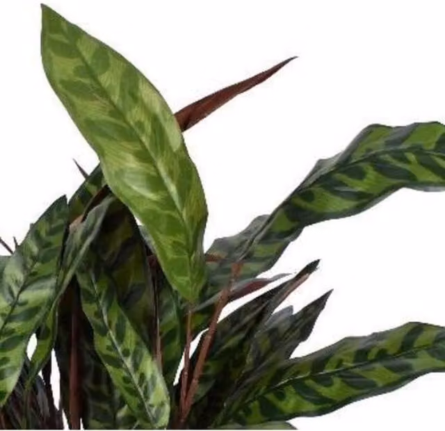 Leaf UK Green Fire Resistant Artificial Peacock Bush, Height: 90 cm