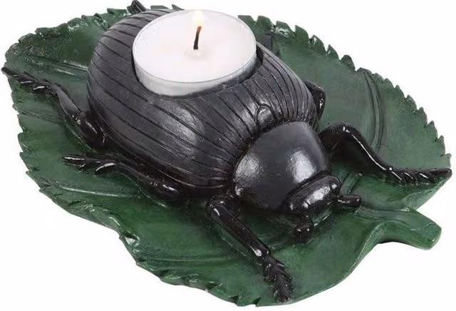 KDMD Beetle Tealight Candle Holder in Black and Green