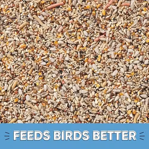Happy Beaks Spring and Summer Seeds 5kg Premium High Energy Wild Bird Feed Mix – 2